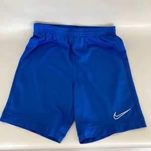 Nike Dry-Fit Academy 21 Shorts, (youth L)